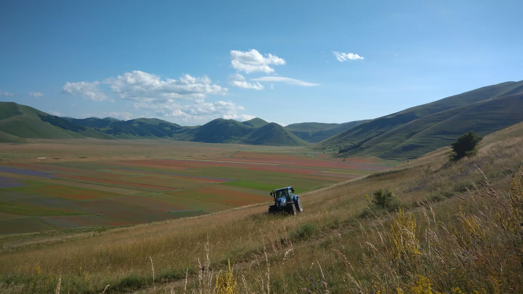 Castelluccio di Norcia con bambini: Pian Grande, fioritura e gite